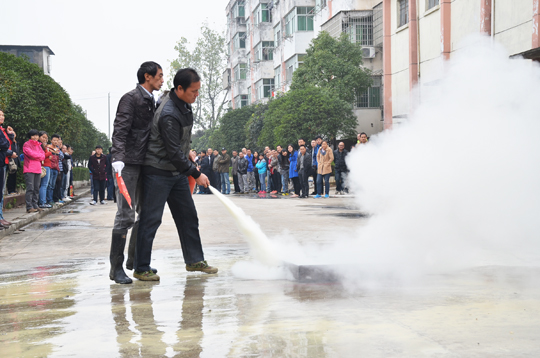 1517238927069018959.jpg 2.jpg